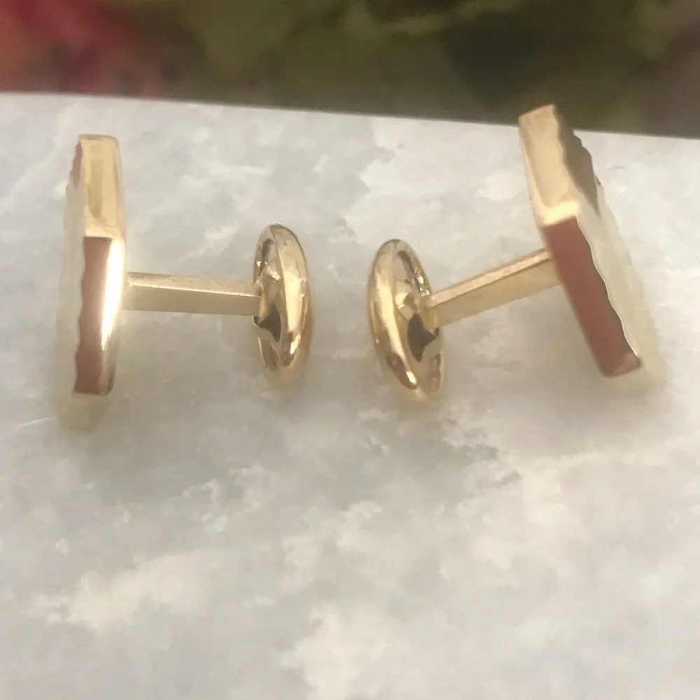 Pierre Cardin Gold Tone Men’s Cuff links